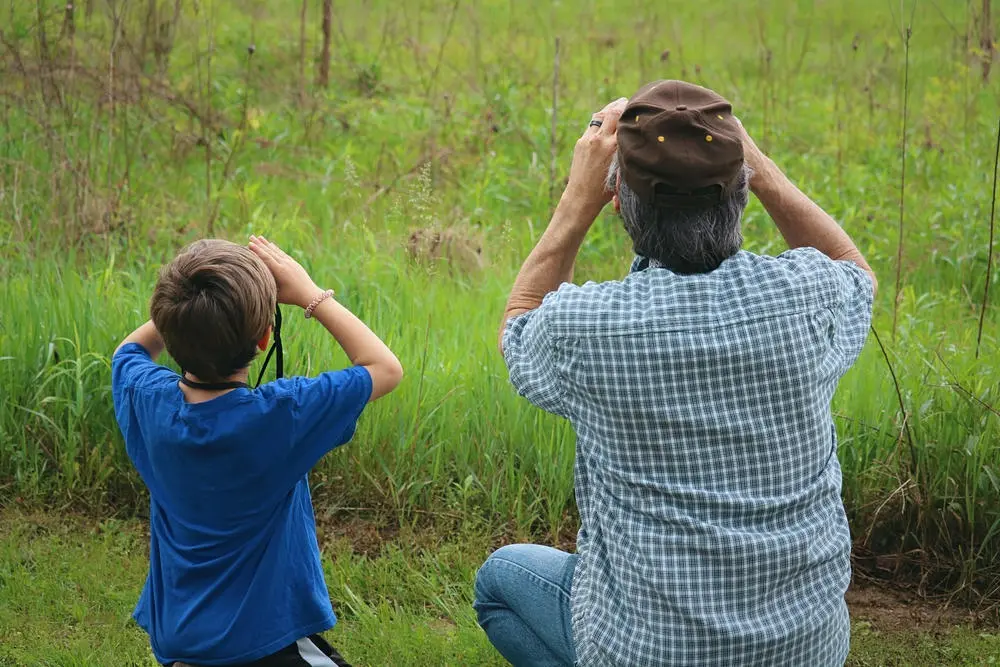 Bird Watching