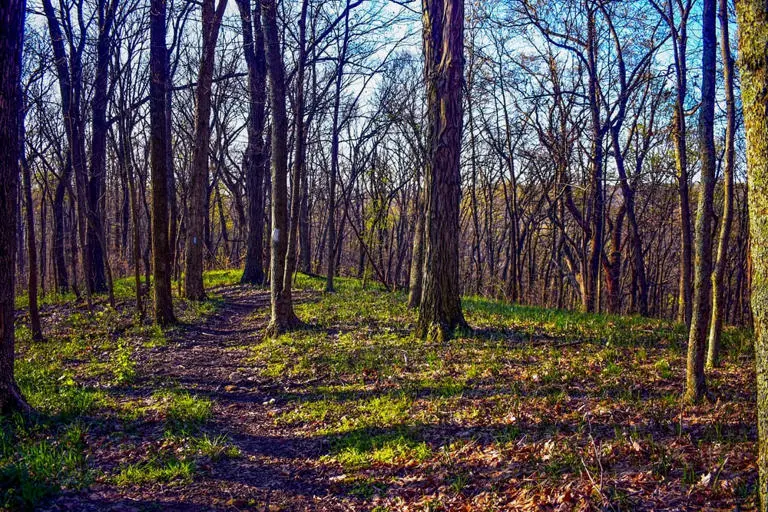 Buckeye Trail