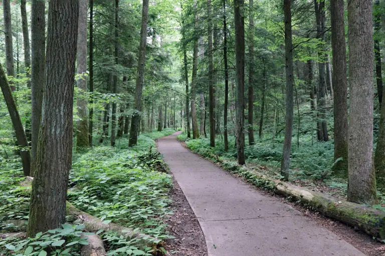 Conkles Hollow Hiking Trail In Hocking Hills State Park Ohio