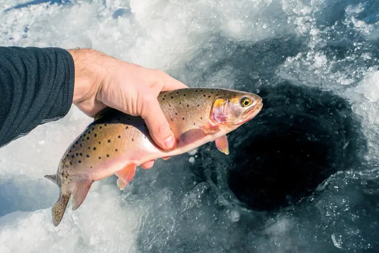 Ice Fishing